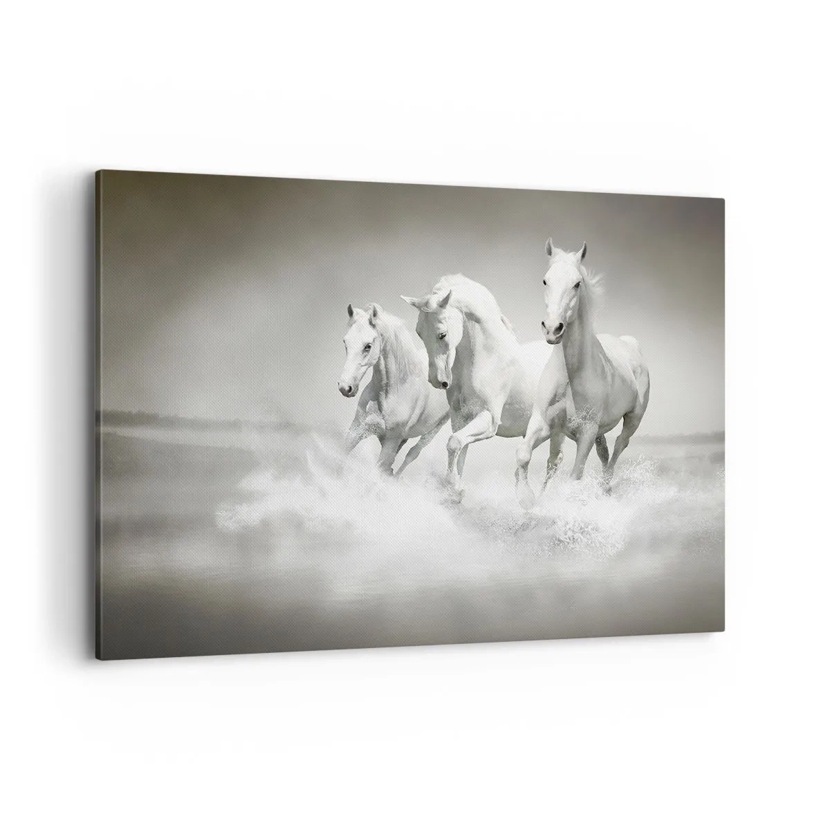 Obraz na płótnie - Trzy białe konie galopujące przez wodę - 100x70cm - Białe szaleństwo - Nowoczesna dekoracja ścienna do salonu, kuchni i sypialni ARTTOR