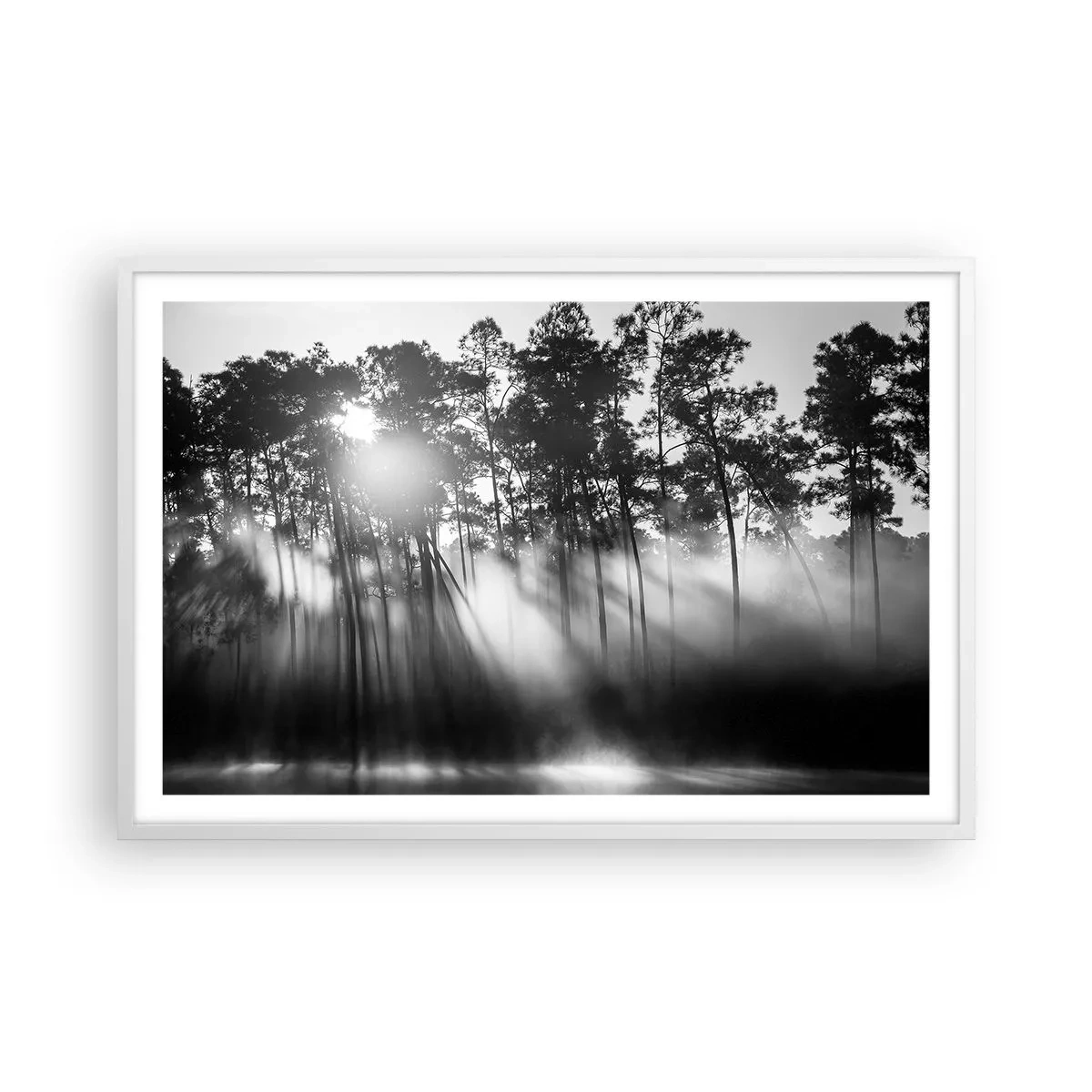 Plakat w białej ramie - Niepowstrzymane słońce - 91x61 cm