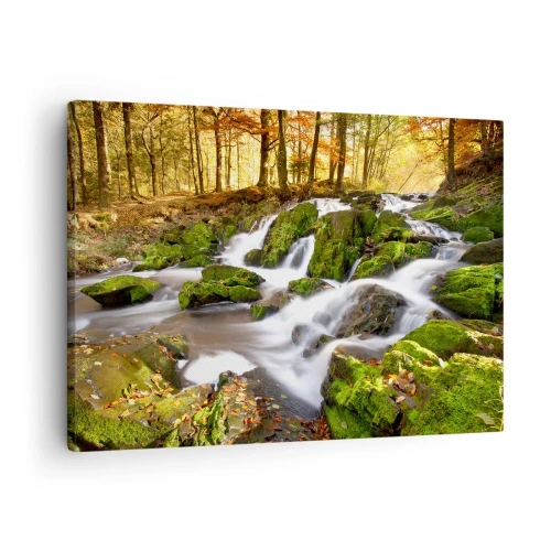 Obraz na płótnie - Zalesiony krajobraz z wodospadem otoczonym mchem - 70x50cm - Bystro przez jesienny las - Nowoczesna dekoracja ścienna do salonu i sypialni ARTTOR