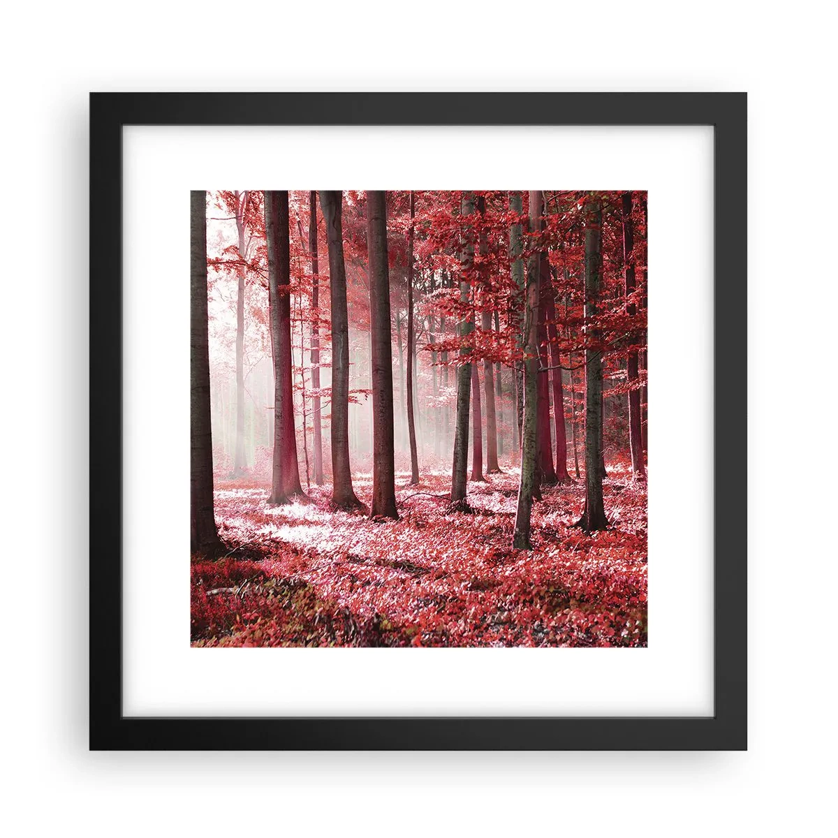 Plakat w czarnej ramie - Czerwony równie piękny - 30x30 cm