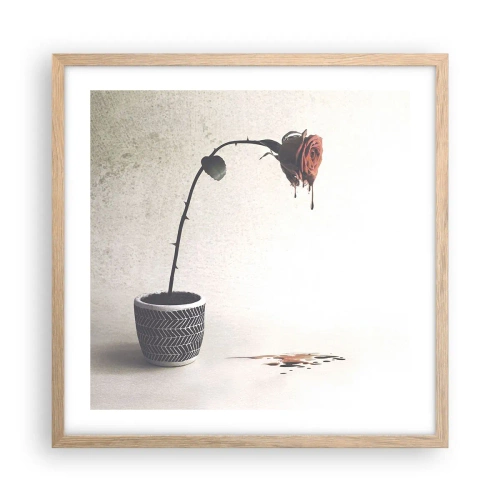 Plakat w ramie jasny dąb - Rosa dolorosa - 50x50 cm