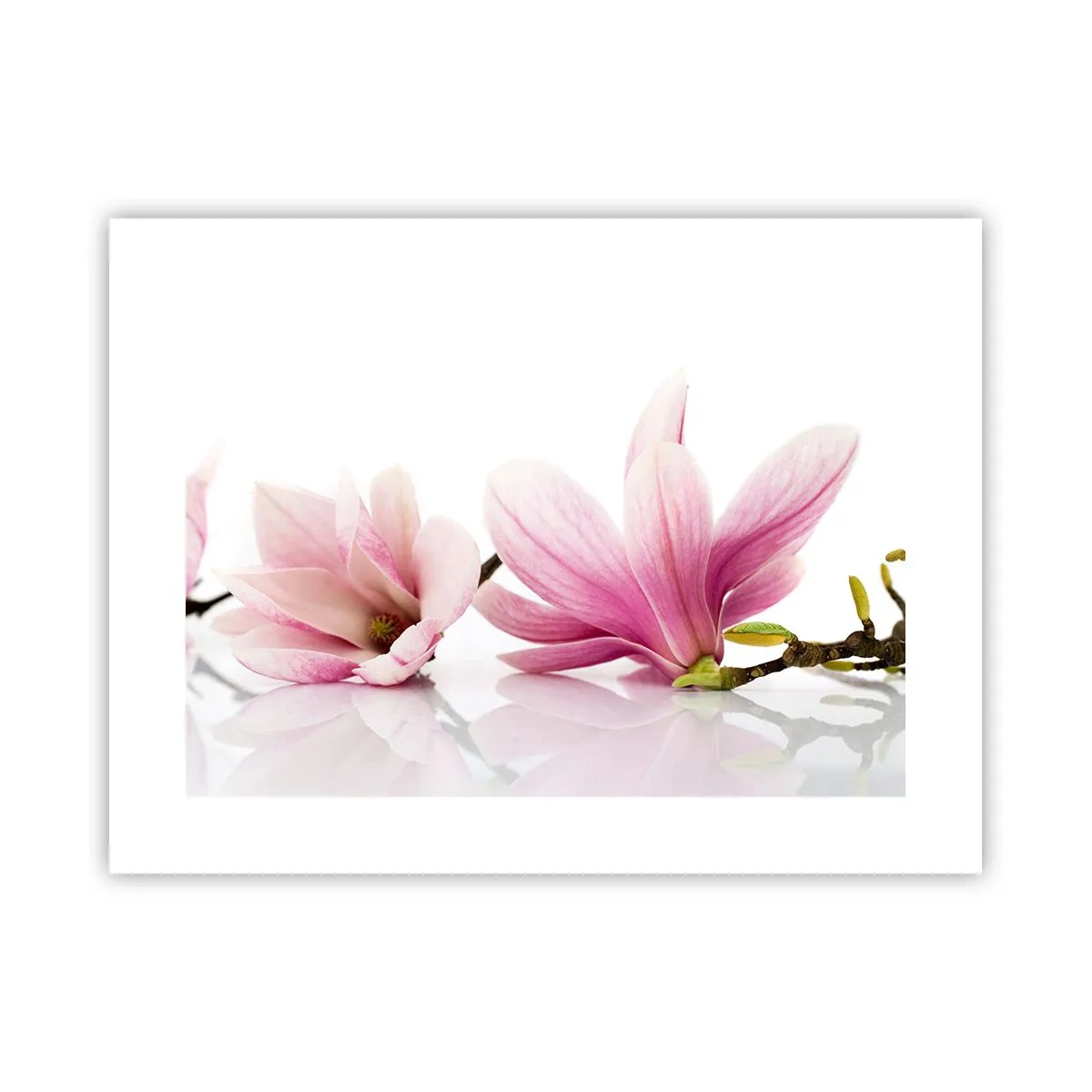 Plakat - Delikatne jak powiew wiosny - 40x30 cm