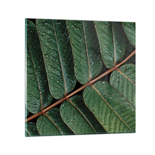 Obraz na szkle - W zielonym rytmie - 50x50 cm