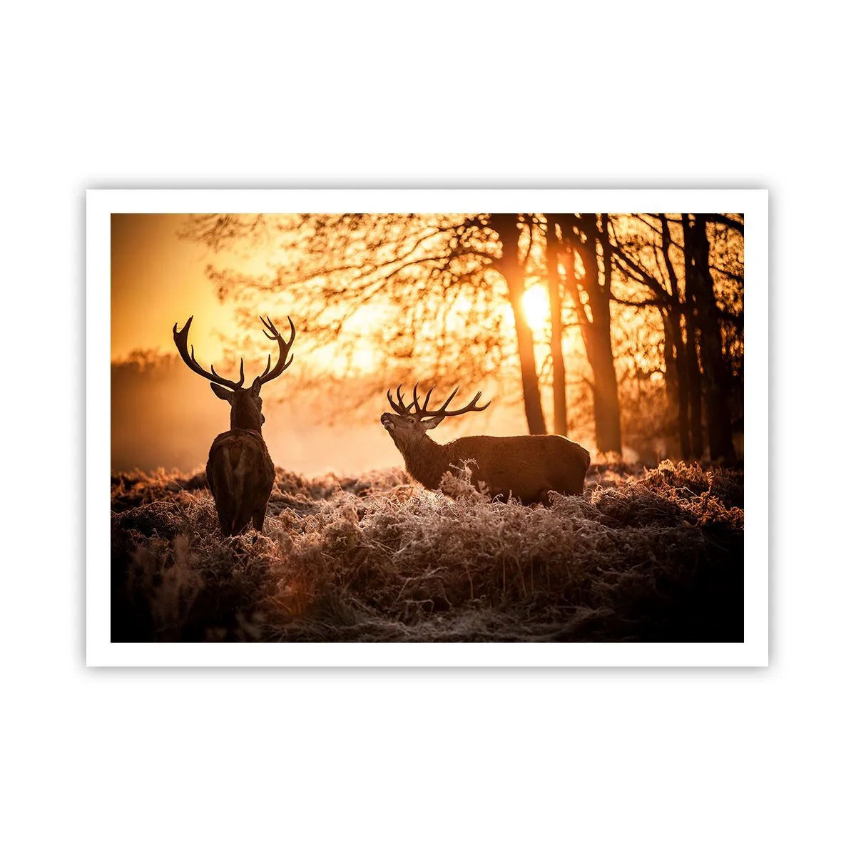 Plakat - Dwa jelenie o zachodzie słońca w zimowym krajobrazie - 100x70cm - Marzenie myśliwego - Nowoczesna dekoracja ścienna do salonu i sypialni ARTTOR