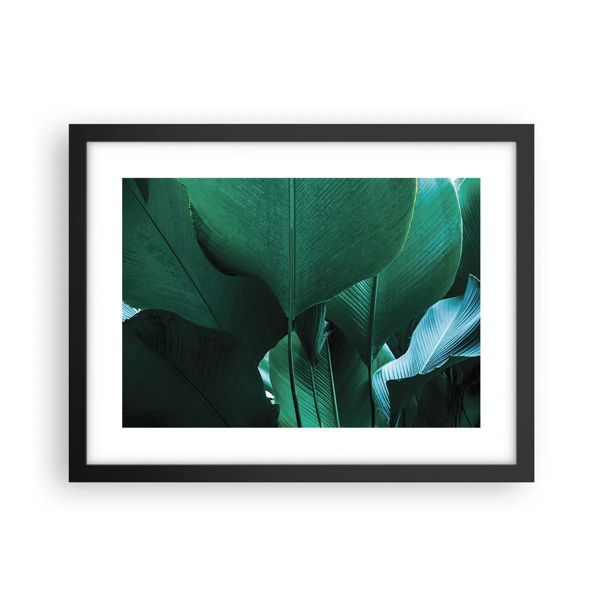 Plakat w czarnej ramie - Zwrócone do światła - 40x30 cm
