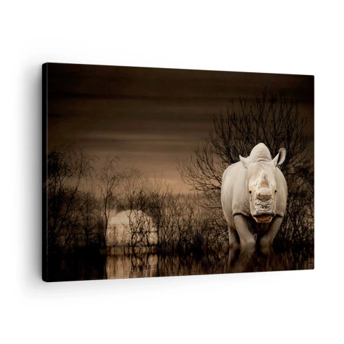 Obraz na płótnie - Nosorożec wśród drzew o zachodzie słońca, dzika natura. - 70x50cm - Biały przeciw naturze - Nowoczesna dekoracja ścienna do salonu i sypialni ARTTOR