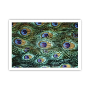 Plakat - Detale pawich piór w soczystych kolorach - 100x70cm - Pawiookie spojrzenie - Nowoczesna dekoracja ścienna do salonu i sypialni ARTTOR