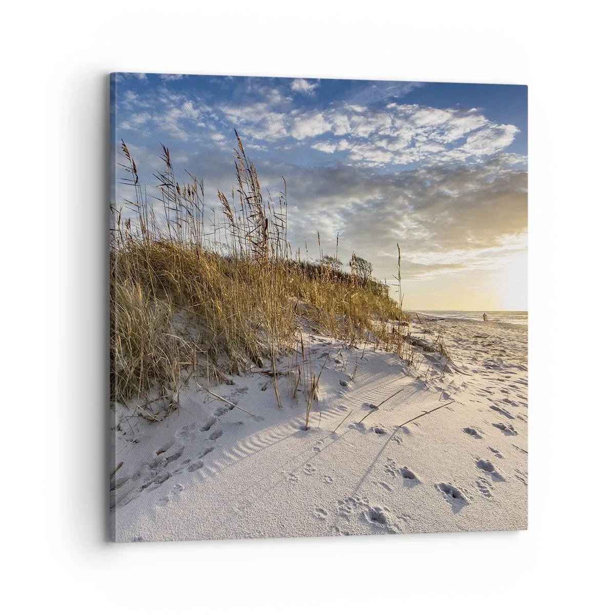 Obraz na płótnie - Zaproszenie na spacer - 70x70 cm