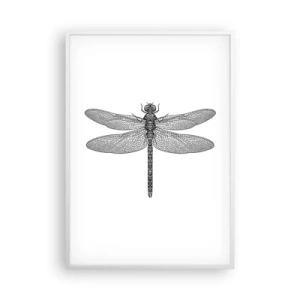 Plakat w białej ramie - Precyzja natury - 70x100 cm