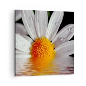 Obraz na płótnie - Wschodzące słońce margaretki - 60x60 cm