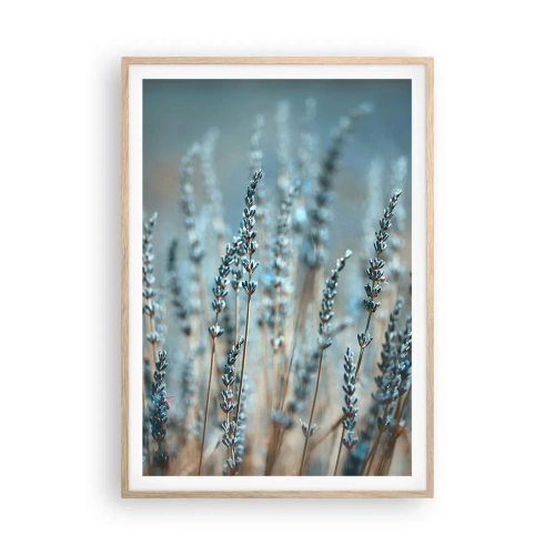 Plakat w ramie jasny dąb - Pachnący łan - 70x100 cm