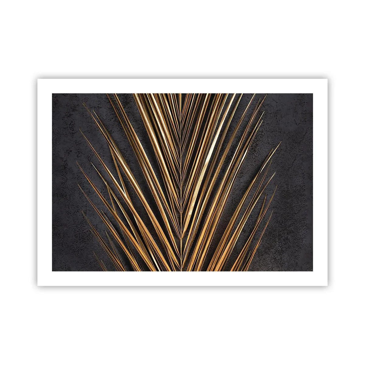 Plakat - Złoto tropików - 70x50 cm