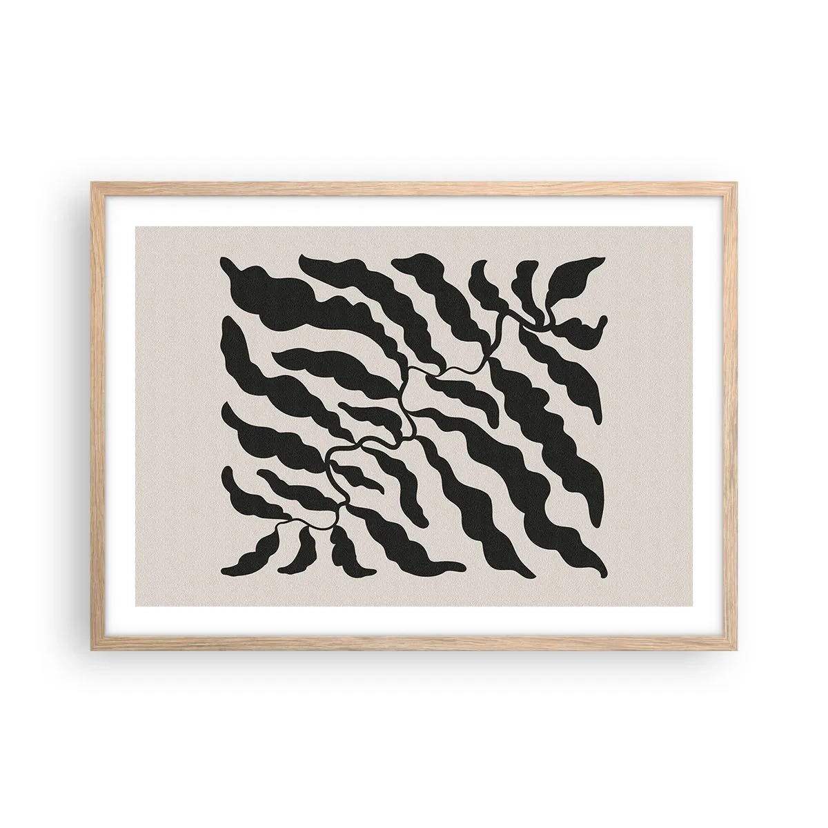 Plakat w ramie jasny dąb - Natura kwadratu - 70x50 cm