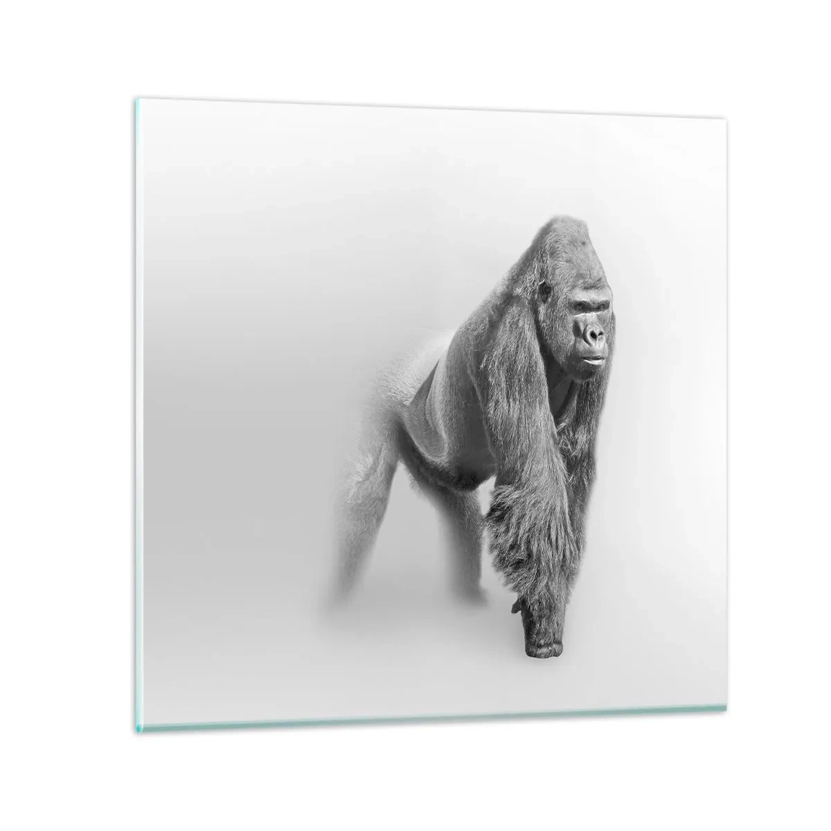 Obraz na szkle - Pewny swej siły - 70x70 cm