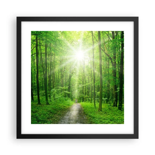 Plakat w czarnej ramie - Zielona katedra - 40x40 cm