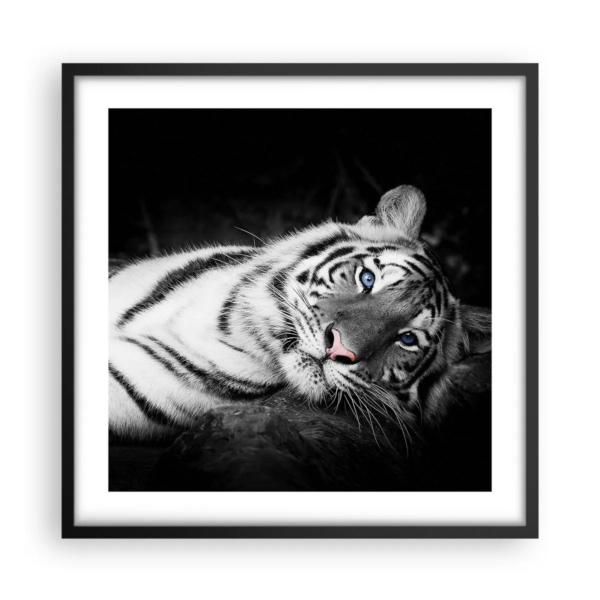 Plakat w czarnej ramie - Dzikość i spokój - 50x50 cm