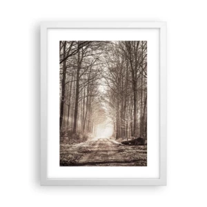 Plakat w białej ramie - Leśna katedra - 30x40 cm