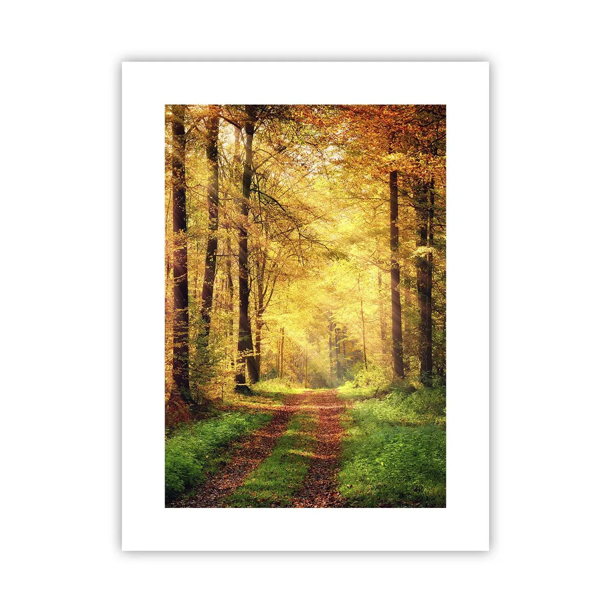 Plakat - Leśno-złota cisza - 30x40 cm