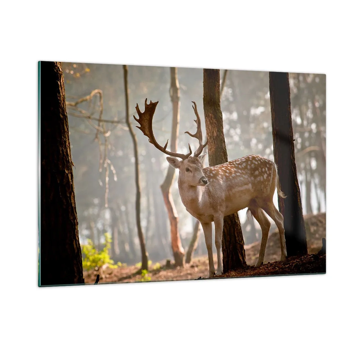 Obraz na szkle - Jeleń w lesie otoczony poranną mgłą - 120x80cm - Światło młodości - Nowoczesna dekoracja ścienna do salonu, kuchni i sypialni ARTTOR