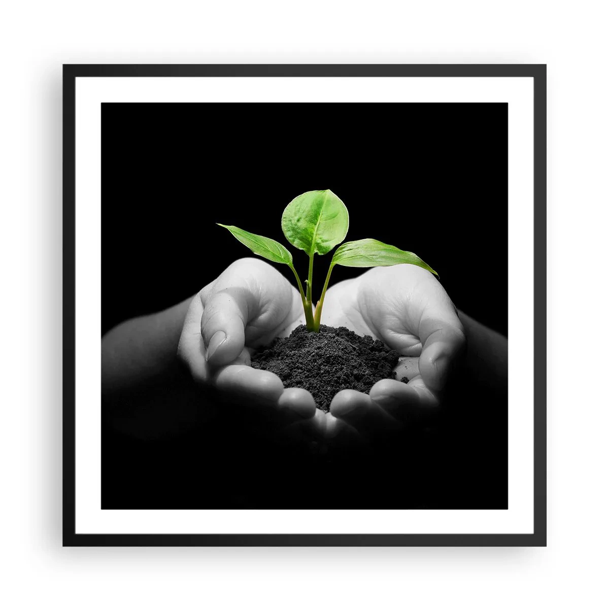 Plakat w czarnej ramie - Kocham naturę, chronię ją - 60x60 cm