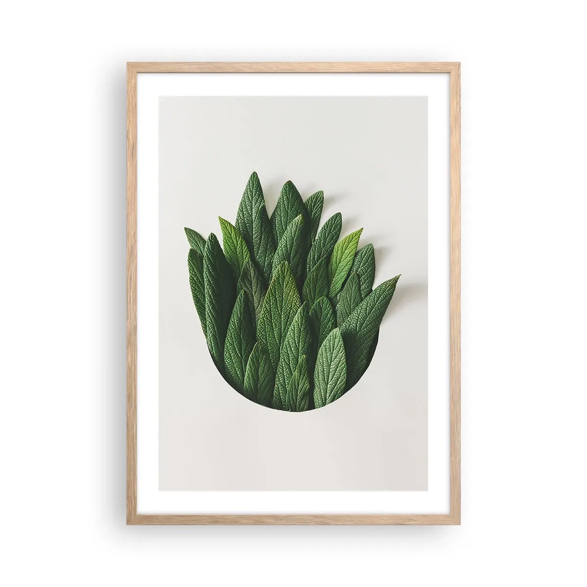 Plakat w ramie jasny dąb - Nieposkromiona ciekawość - 50x70 cm