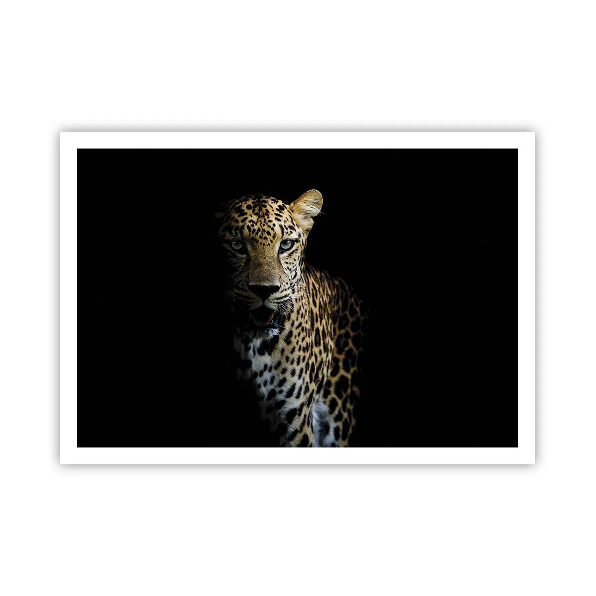 Plakat - Leopard na ciemnym tle z intensywnym spojrzeniem - 100x70cm - Mroczne piękno - Nowoczesna dekoracja ścienna do salonu i sypialni ARTTOR