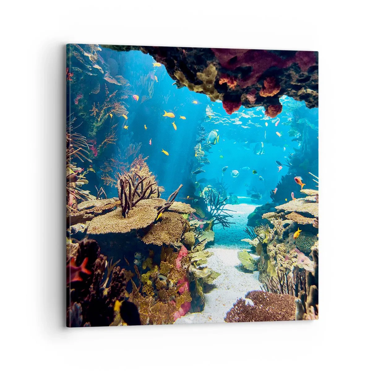 Obraz na płótnie - Nawet ci się nie śniło - 70x70 cm