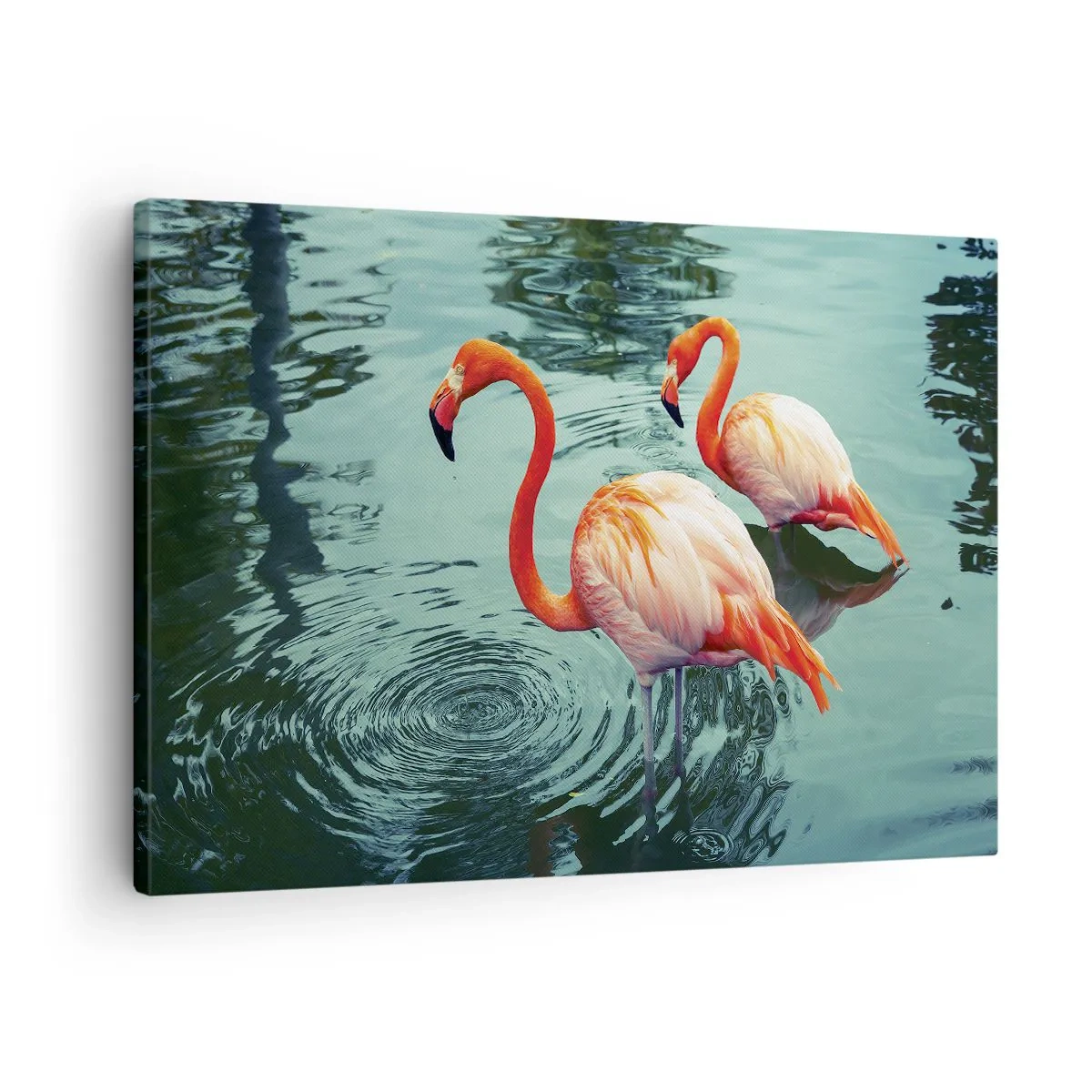 Obraz na płótnie - Dwa flamingi w spokojnej wodzie odbijające otoczenie - 70x50cm - Jesteśmy teraz w modzie - Nowoczesna dekoracja ścienna do salonu i sypialni ARTTOR