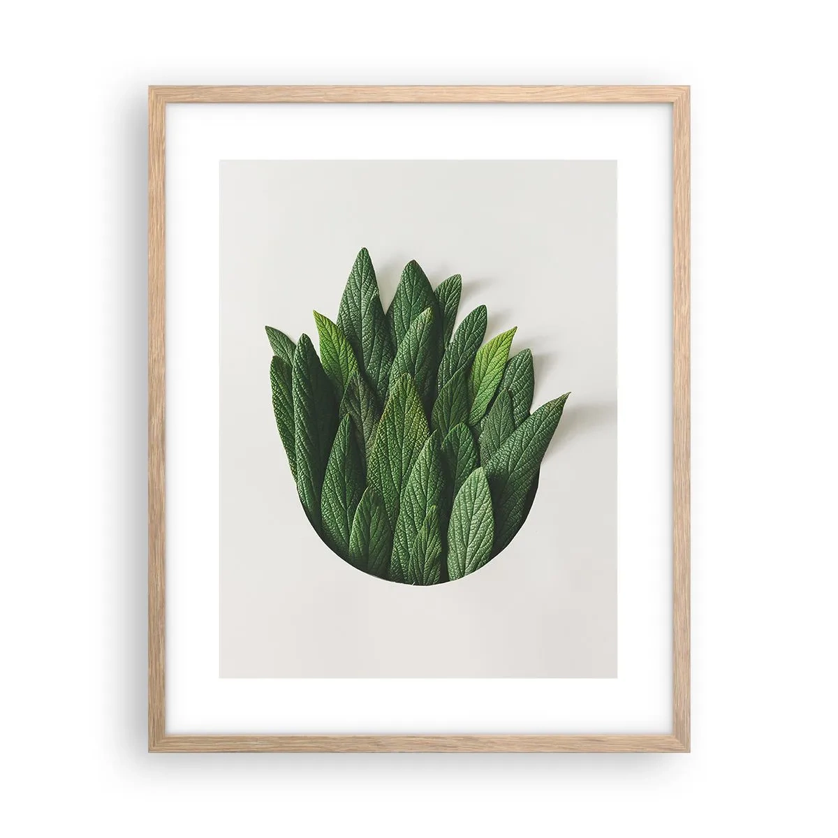 Plakat w ramie jasny dąb - Nieposkromiona ciekawość - 40x50 cm