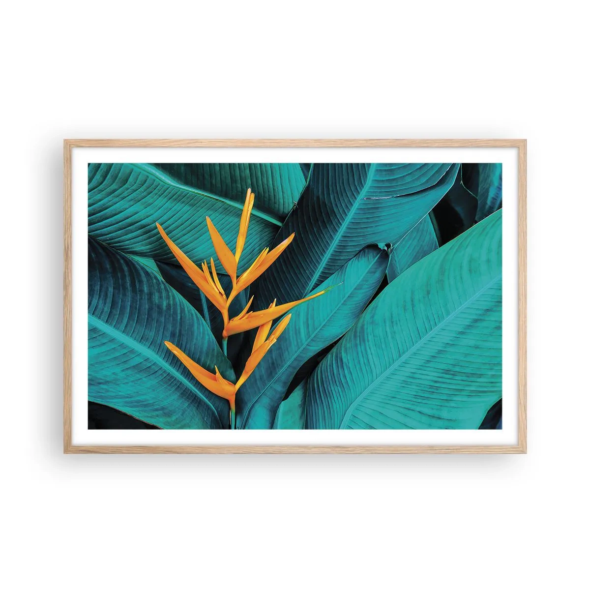 Plakat w ramie jasny dąb - Kwiat Edenu - 91x61 cm