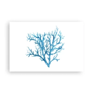 Plakat - Morski filigran - 91x61 cm