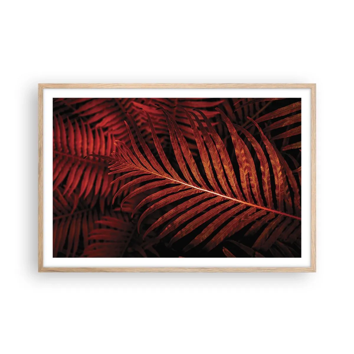 Plakat w ramie jasny dąb - Żar życia - 91x61 cm