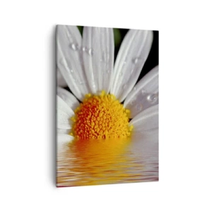 Obraz na płótnie - Kwiat stokrotki z odbiciem w wodzie - 50x70cm - Wschodzące słońce margaretki - Nowoczesna dekoracja ścienna do salonu, kuchni i sypialni ARTTOR