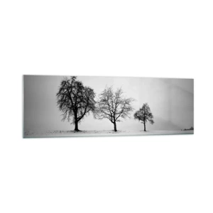 Obraz na szkle - Trzy drzewa na zaśnieżonym polu w monochromatycznym stylu - 160x50cm - O czym śnią? - Nowoczesna dekoracja ścienna do salonu i sypialni ARTTOR