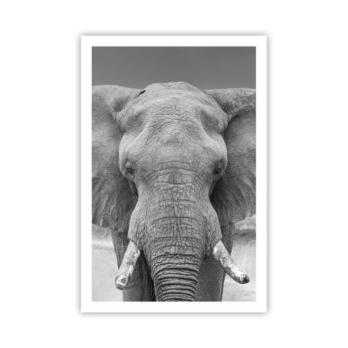 Plakat - Witaj w moim świecie - 61x91 cm