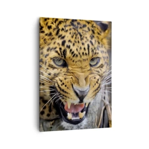 Obraz na płótnie - Ryczący lampart z ostrymi kłami i intensywnym spojrzeniem - 50x70cm - Nie podchodź, ostrzegam! - Nowoczesna dekoracja ścienna do salonu, kuchni i sypialni ARTTOR