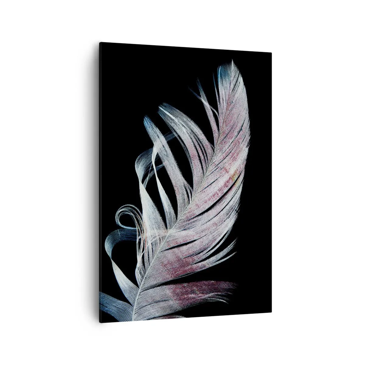 Obraz na płótnie - Delikatne pióro na czarnym tle w artystycznym ujęciu - 70x100cm - Pomyśl o dotyku - Nowoczesna dekoracja ścienna do salonu i sypialni ARTTOR