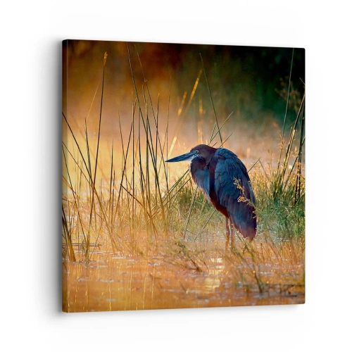 Obraz na płótnie - No dajcie mi spokój z tymi zdjęciami - 30x30 cm