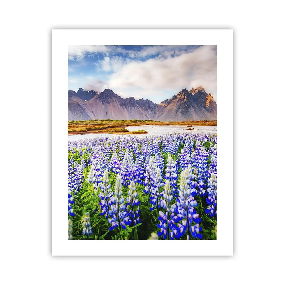 Plakat - Siła i surowość obok łagodności - 40x50 cm