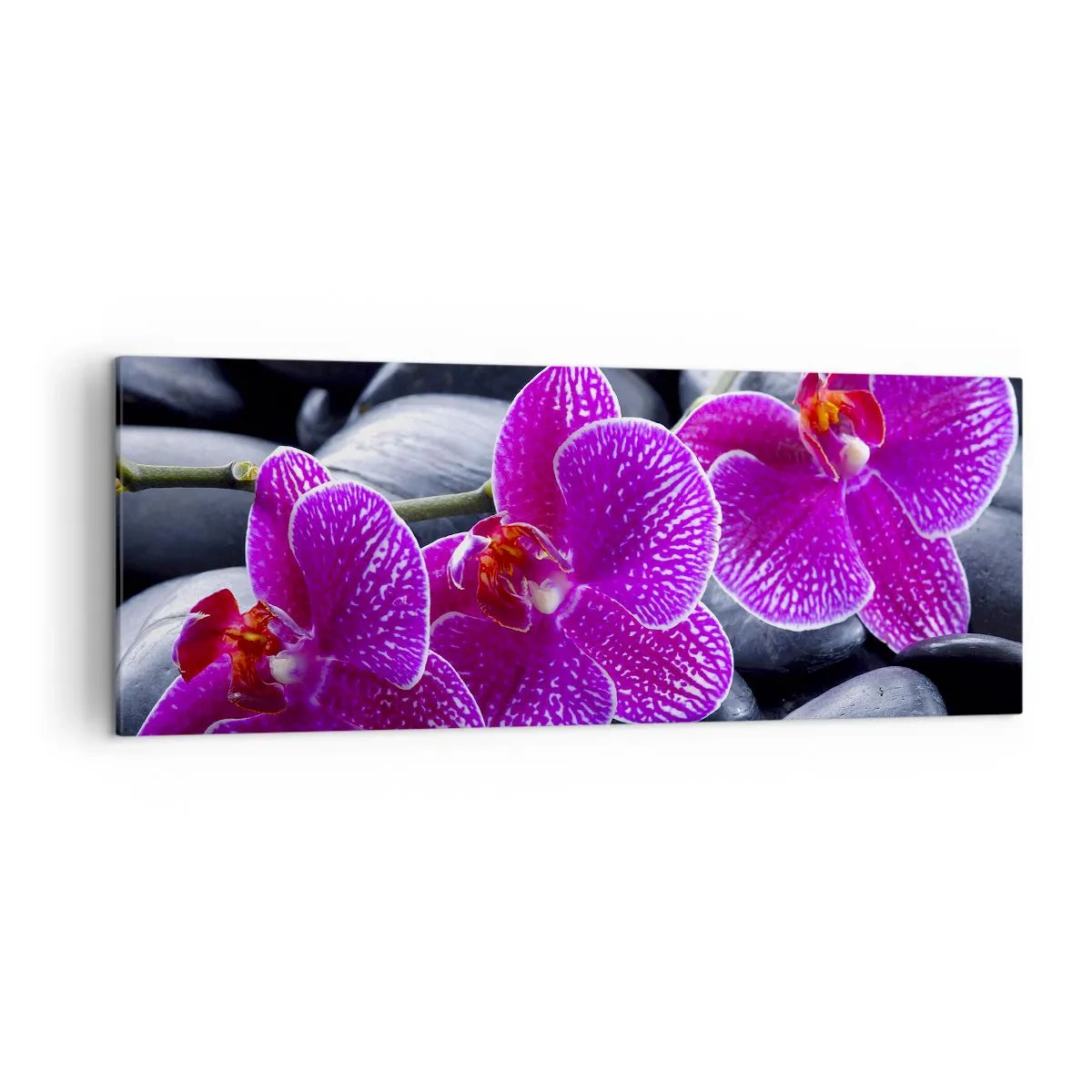 Obraz na płótnie - Fioletowe orchidee na tle czarnych kamieni - 140x50cm - Kamienie pojaśniały z zachwytu - Nowoczesna dekoracja ścienna do salonu i sypialni ARTTOR