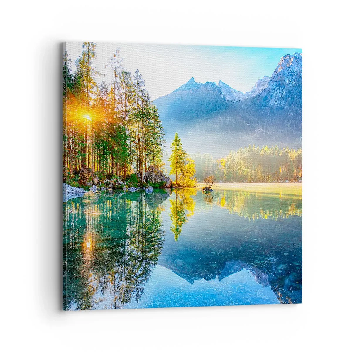 Obraz na płótnie - Majestat i słodycz - 70x70 cm