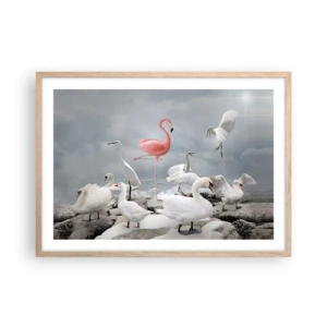 Plakat w ramie jasny dąb - Skąd się tu wziąłem? - 70x50 cm