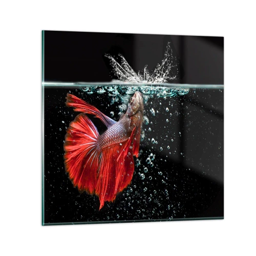 Obraz na szkle - Masz trzy życzenia - 40x40 cm