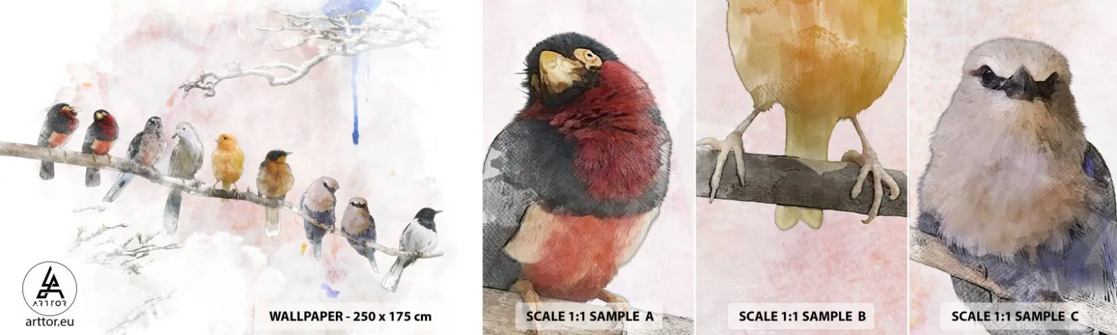 Fototapeta Próbka Standard Eco - Skrzydlate spotkanie - Ptaki, Natura, Grafika - 100x30 cm