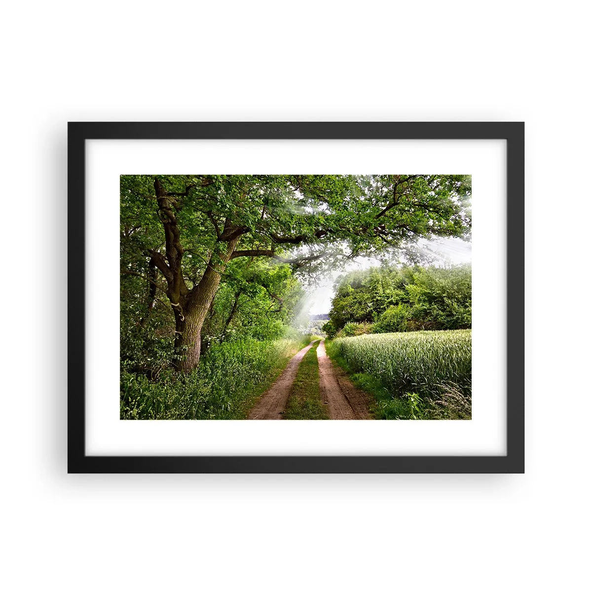 Plakat w czarnej ramie - Et in Arcadia ego - 40x30 cm