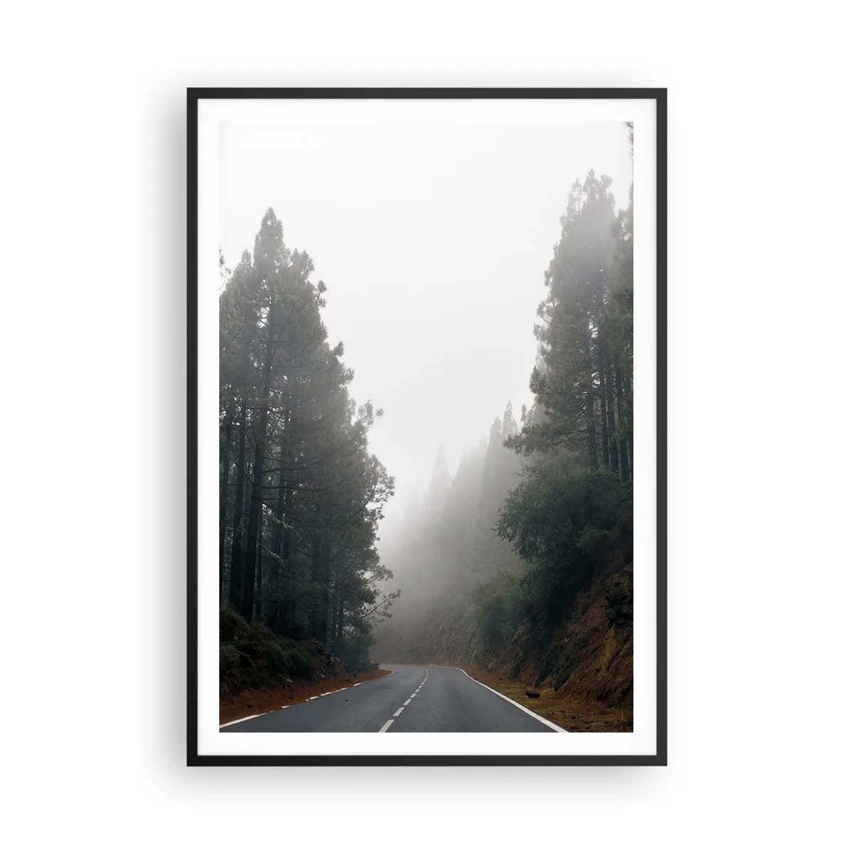 Plakat w czarnej ramie - Opowieść magicznego lasu - 70x100 cm