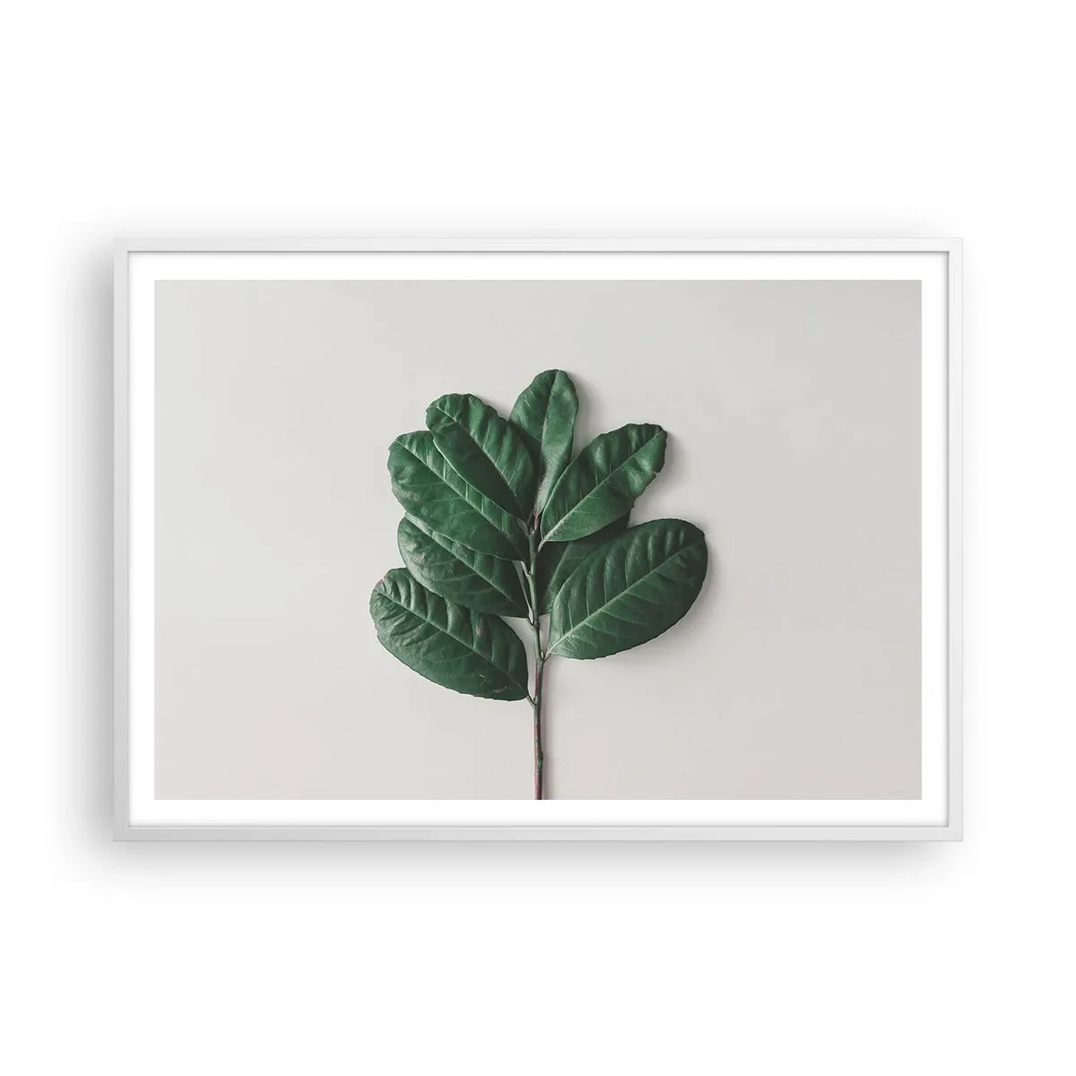 Plakat w białej ramie - Rysunek samej natury - 100x70 cm