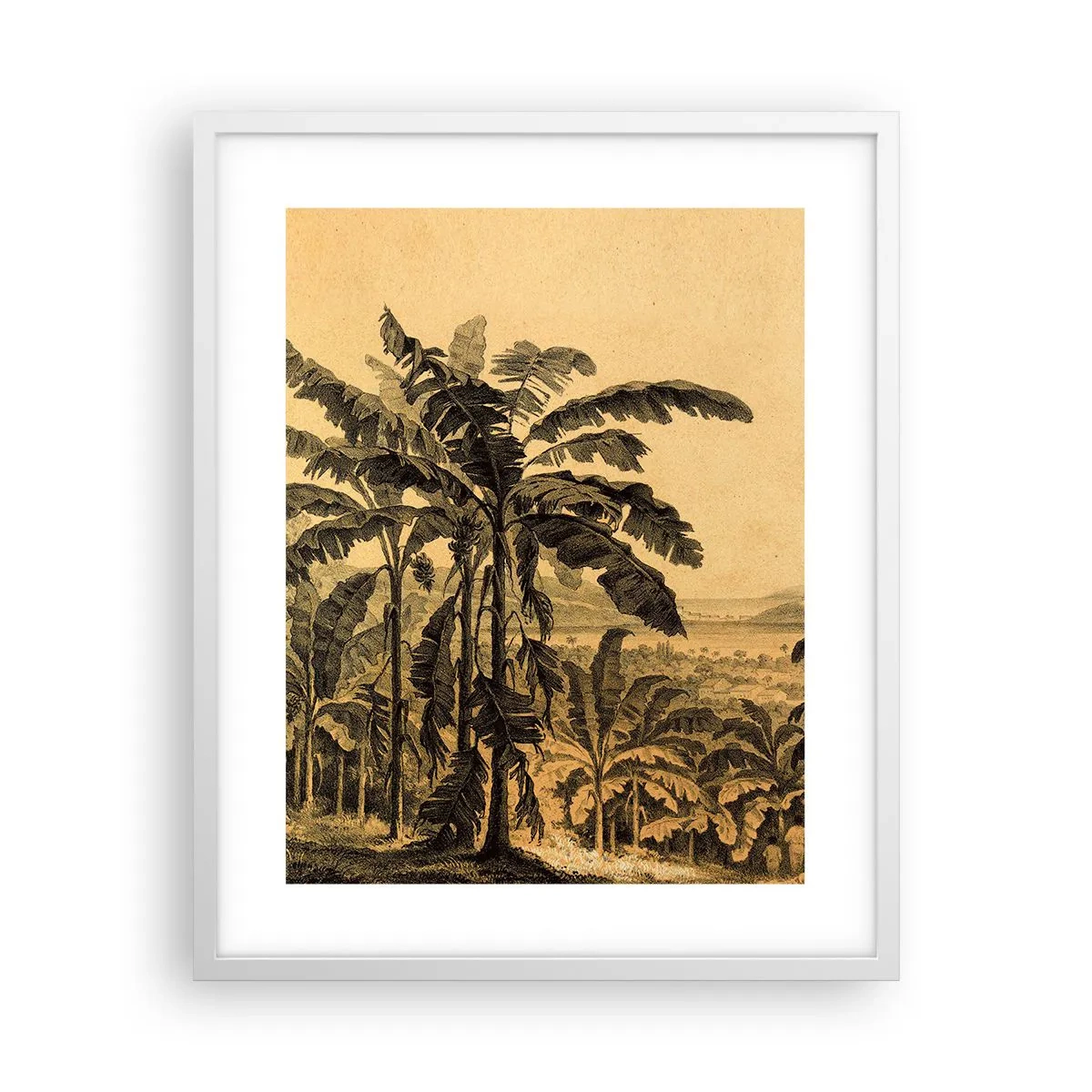 Plakat w białej ramie - w kolonialnym klimacie - 40x50 cm