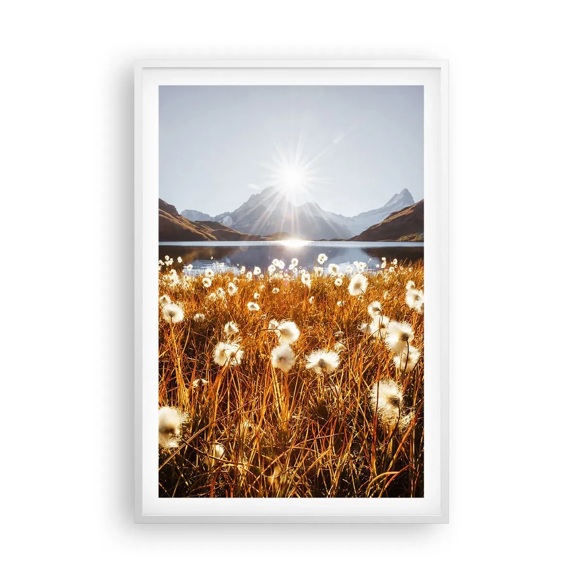 Plakat w białej ramie - Twardość skał, miękkość traw - 61x91 cm