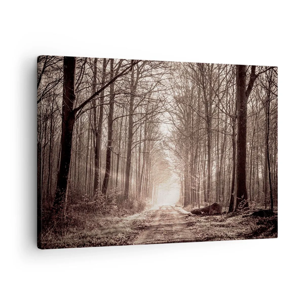 Obraz na płótnie - Leśna ścieżka wśród drzew w odcieniach sepii - 70x50cm - Leśna katedra - Nowoczesna dekoracja ścienna do salonu i sypialni ARTTOR